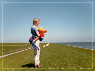 Den Deich teilen sich die Menschen mit den Schafen