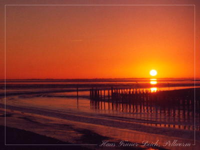 Sonnenaufgang am Hafen